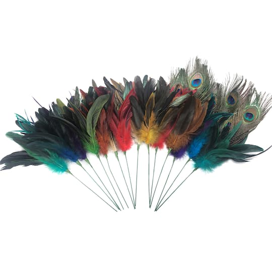 Assorted Colorful Feather Pick by Ashland&#xAE;